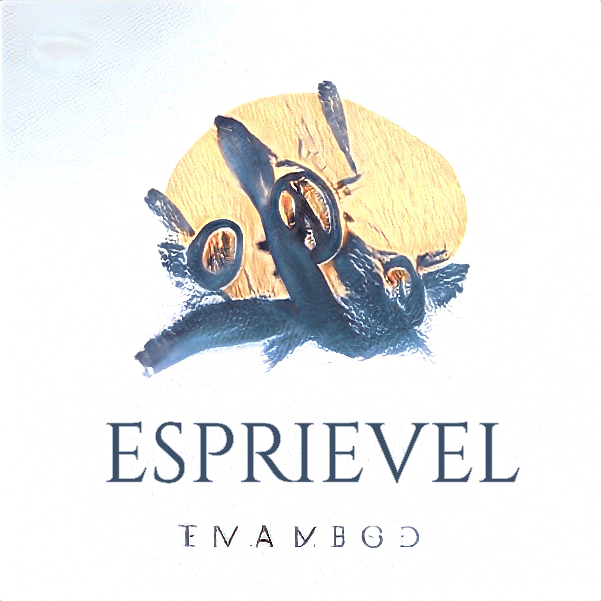 ESPRIEVEL - EVAYBOD